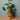 Übertopf Pflanztopf Korb ⌀17 von Urban Gardeners in der Farbe #product_color# - kauf's dir jetzt!