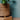 Übertopf Pflanztopf Korb ⌀17 von Urban Gardeners in der Farbe #product_color# - kauf's dir jetzt!