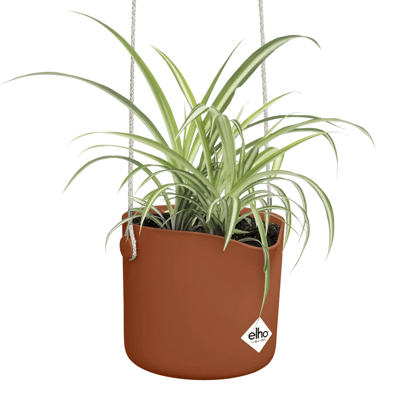 Blumentopf Cilindro 35cm anthr Verkaufsständer erhältlich kaufen