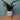 Übertopf Übertopf Keramik Naturweiß ⌀16 von Urban Gardeners in der Farbe #product_color# - kauf's dir jetzt!