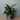 Übertopf Matt Grau ⌀23 von Urban Gardeners in der Farbe #product_color# - kauf's dir jetzt!