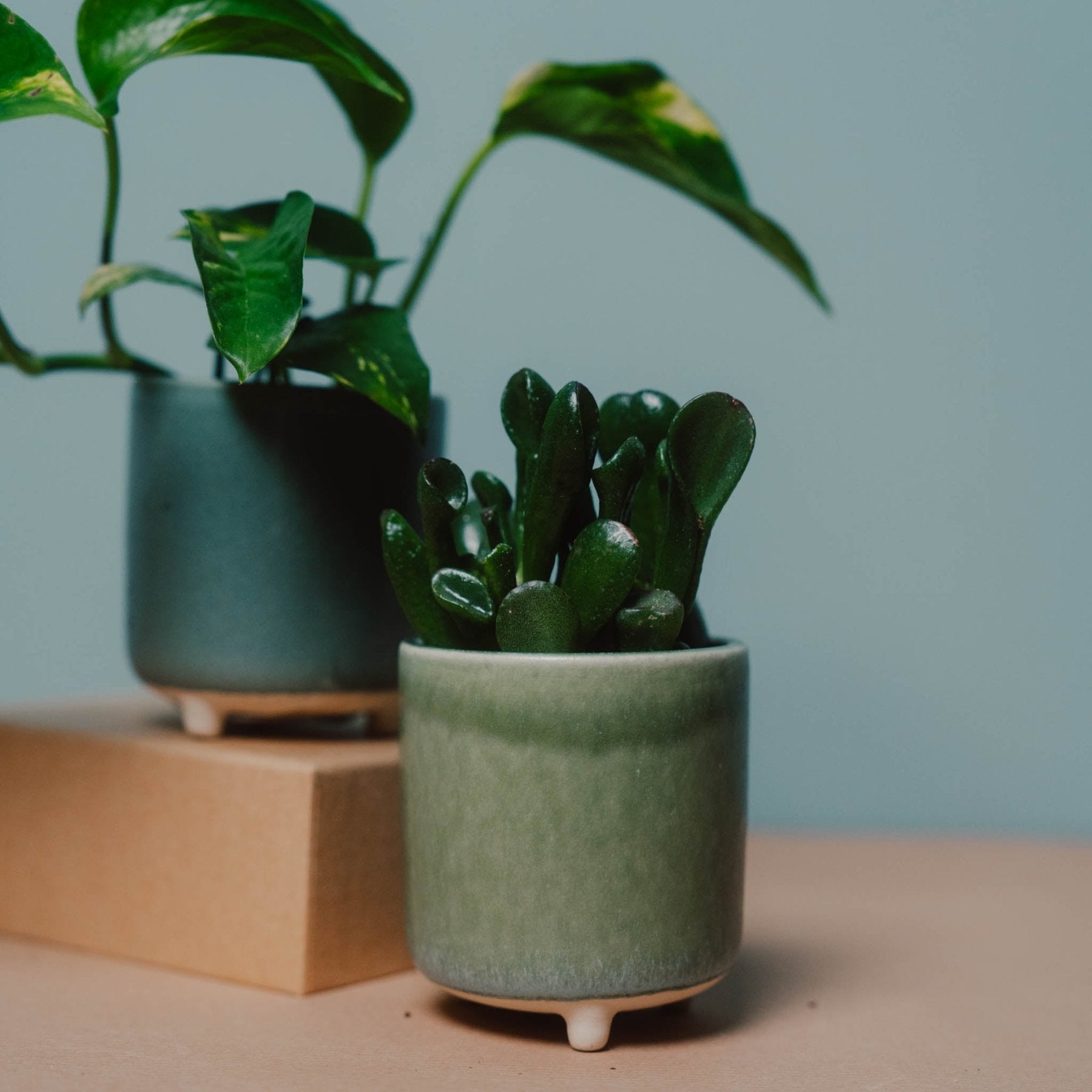 Übertopf Mini Grün ⌀7 – Urban Gardeners