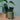Übertopf Übertopf Mini Grün ⌀7 von Urban Gardeners in der Farbe #product_color# - kauf's dir jetzt!