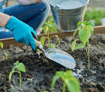 Düngen auf dem Balkon – Die besten Nährstoffe für starke Pflanzen - Urban Gardeners