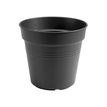 Übertöpfe Anzuchttopf ⌀15 - schwarz von Urban Gardeners in der Farbe #product_color# - kauf's dir jetzt!