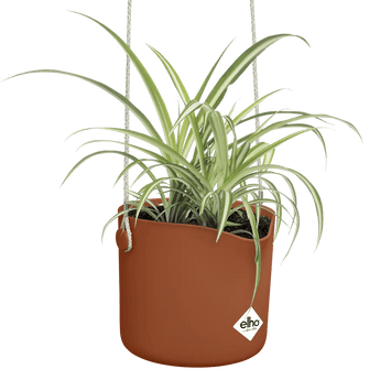 Übertöpfe Übertopf hängend ⌀18 - klinkerot von Urban Gardeners in der Farbe #product_color# - kauf's dir jetzt!