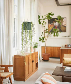 Übertöpfe Übertopf hängend ⌀18 - laubgrün von Urban Gardeners in der Farbe #product_color# - kauf's dir jetzt!