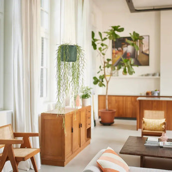 Übertöpfe Übertopf hängend ⌀18 - laubgrün von Urban Gardeners in der Farbe #product_color# - kauf's dir jetzt!