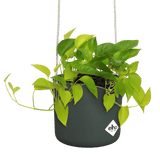 Übertöpfe Übertopf hängend ⌀18 - laubgrün von Urban Gardeners in der Farbe #product_color# - kauf's dir jetzt!