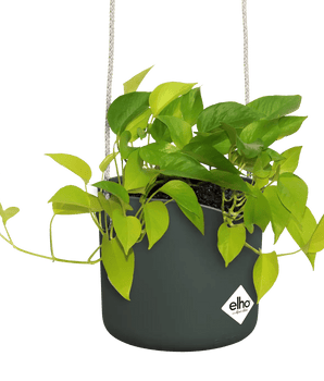 Übertöpfe Übertopf hängend ⌀18 - laubgrün von Urban Gardeners in der Farbe #product_color# - kauf's dir jetzt!