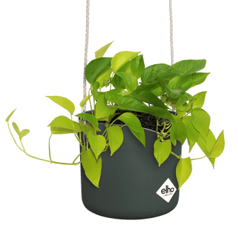 Übertöpfe Übertopf hängend ⌀18 - laubgrün von Urban Gardeners in der Farbe #product_color# - kauf's dir jetzt!