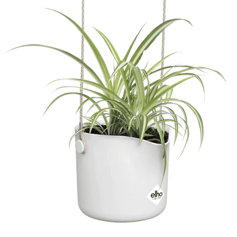 Übertöpfe Übertopf hängend ⌀18 - weiss von Urban Gardeners in der Farbe #product_color# - kauf's dir jetzt!