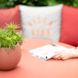 Übertöpfe Übertopf Kugel ⌀18 - rosa von Urban Gardeners in der Farbe #product_color# - kauf's dir jetzt!