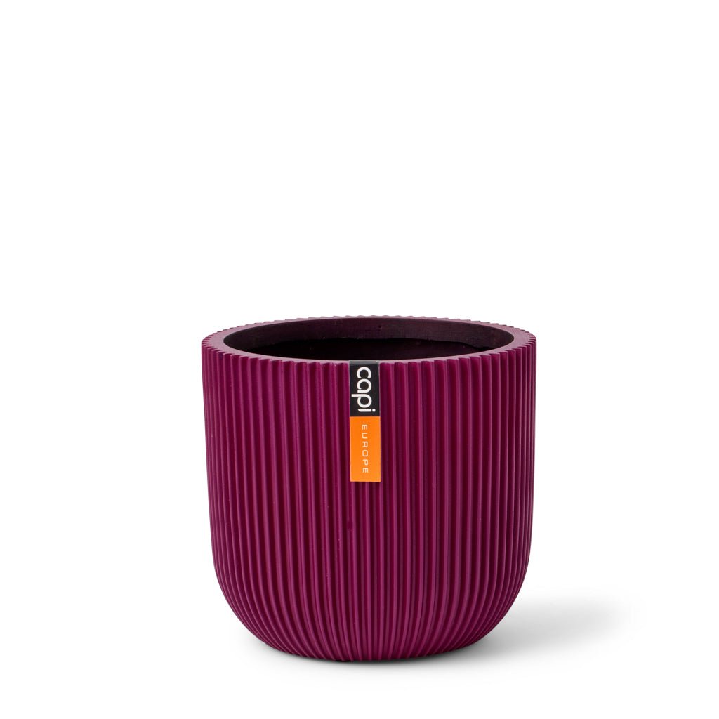 Übertöpfe Übertopf Kugel ⌀24 - violett von Urban Gardeners in der Farbe #product_color# - kauf's dir jetzt!